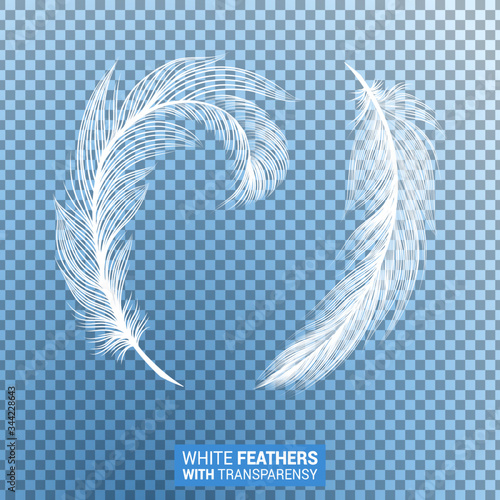 Feathers, white fluffy isolated falling plumes with transparent effect on blue background. Realistic 3D goose bird feathers quills with fluff plumage texture, flying and falling abstract shapes design