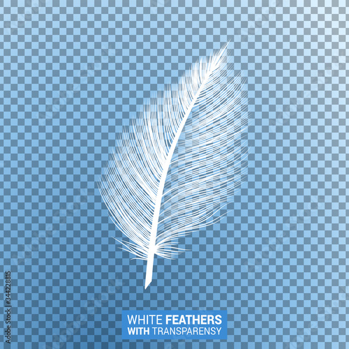 Feathers, white fluffy isolated falling plume with transparent effect on blue background. Realistic 3D goose bird feather quill with fluff plumage texture, flying and falling design