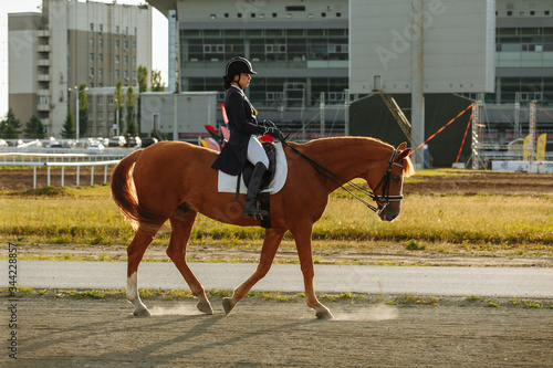 Young woman in special uniform and helmet riding horse. Equestrian sport - dressage. © matilda553