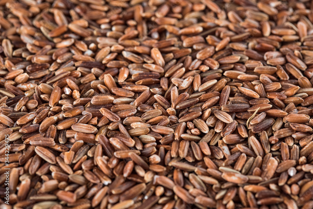 Dry raw unpolished brown rice. Dry raw unpolished brown rice.