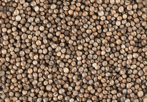 Pile of coriander seeds. Food background.