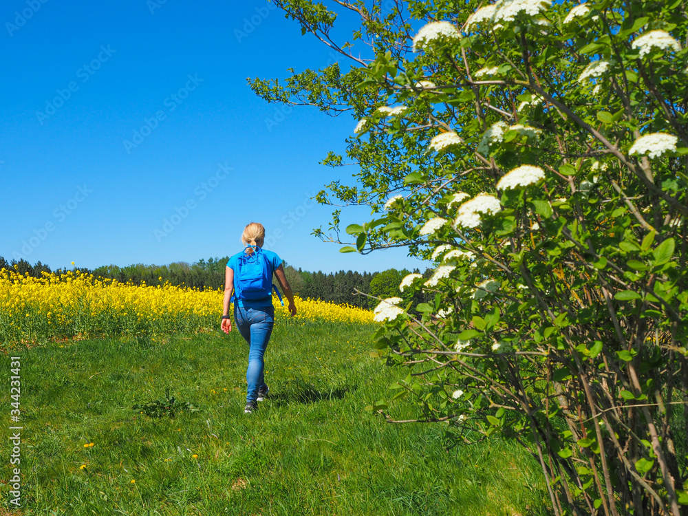 Dachau (Bayern) - Wanderung im Frühling