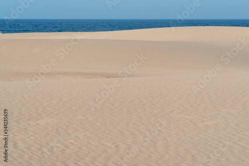 Fototapeta Naklejka Na Ścianę i Meble -  sunset desert of Fuerteventura canary archipelago