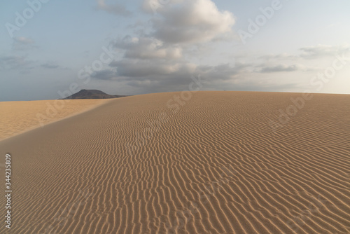 dunes in the Sand desert at sunset