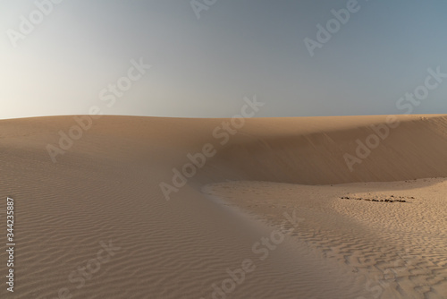 dunes in the Sand desert at sunset