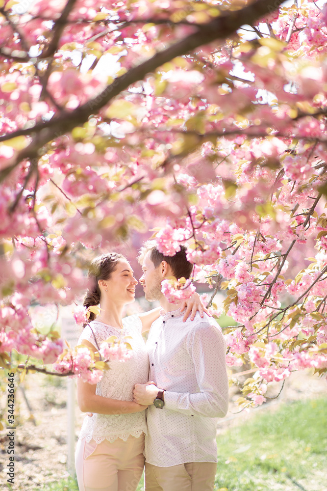 guy with a girl in sakura romance and love guy with a girl in sakura romance and love