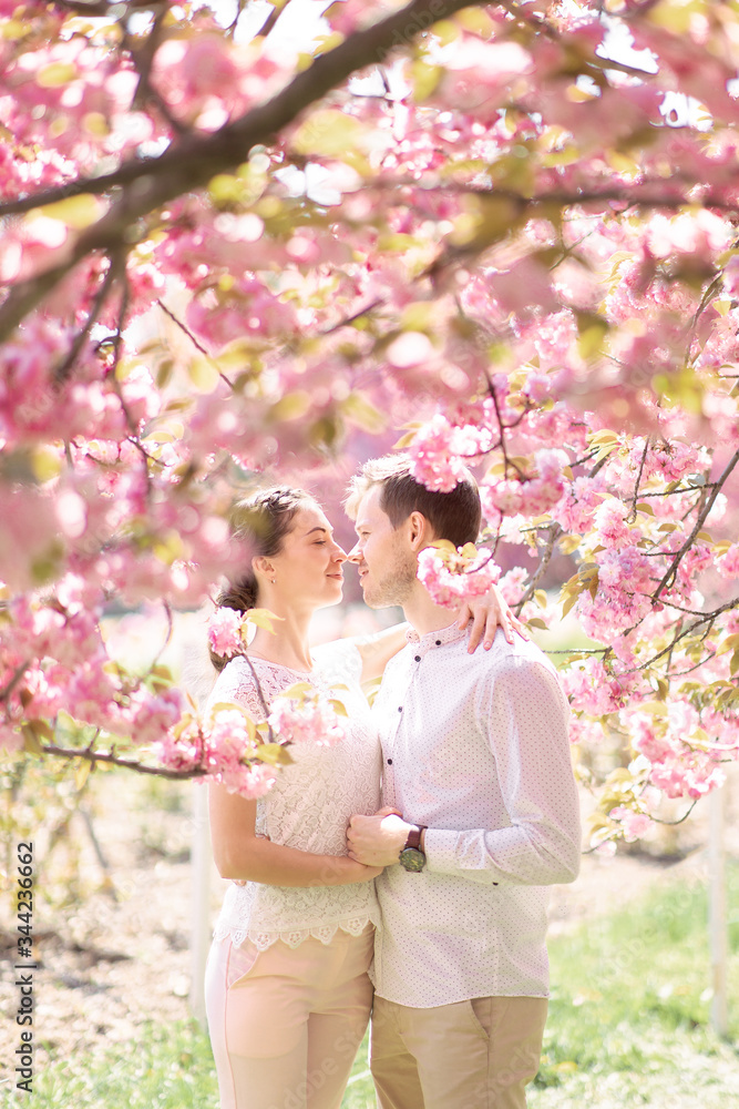 Fototapeta premium guy with a girl in sakura romance and love