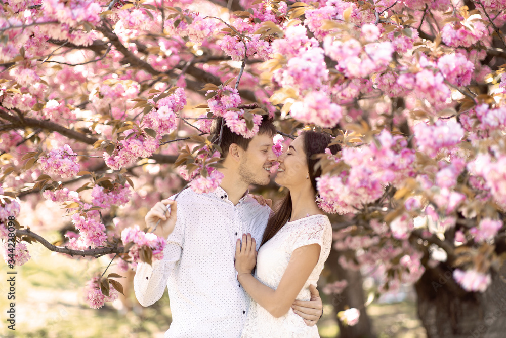 guy with a girl in sakura romance and love guy with a girl in sakura romance and love