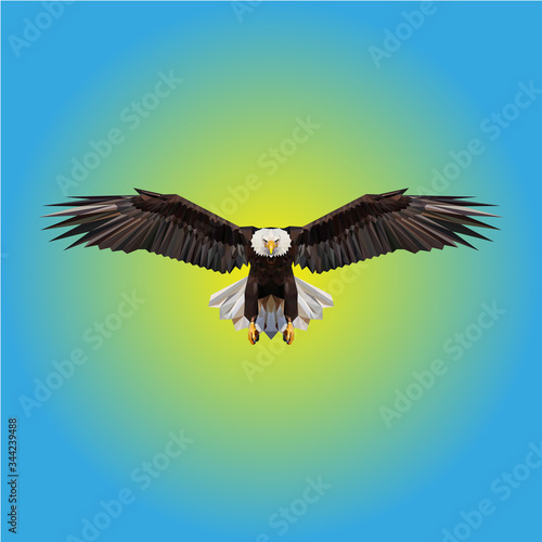 200429_Aigle_03_02