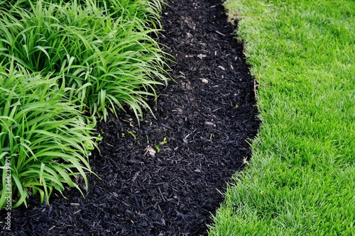 Canvas Print Perfectly cut edge of lawn next to fresh mulch and compost mixture filled in new