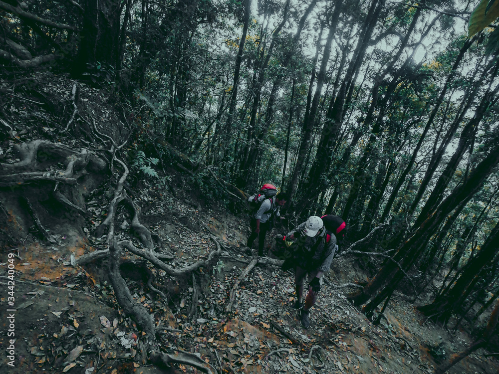 man walking in the forest man walking in the forest