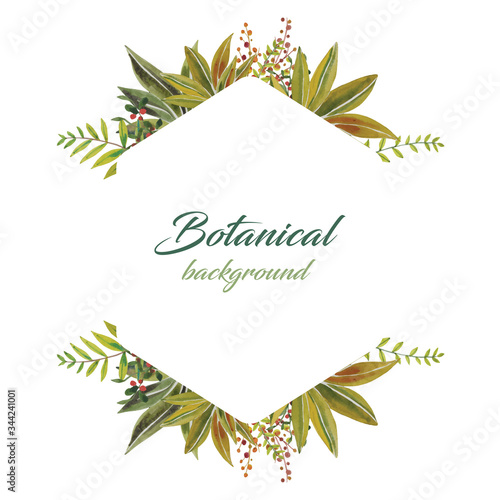 Water color hexagon leaf design botanical style on white background illustration vector. Suitable for various designs. Happy valentine's day and wedding design elements. 