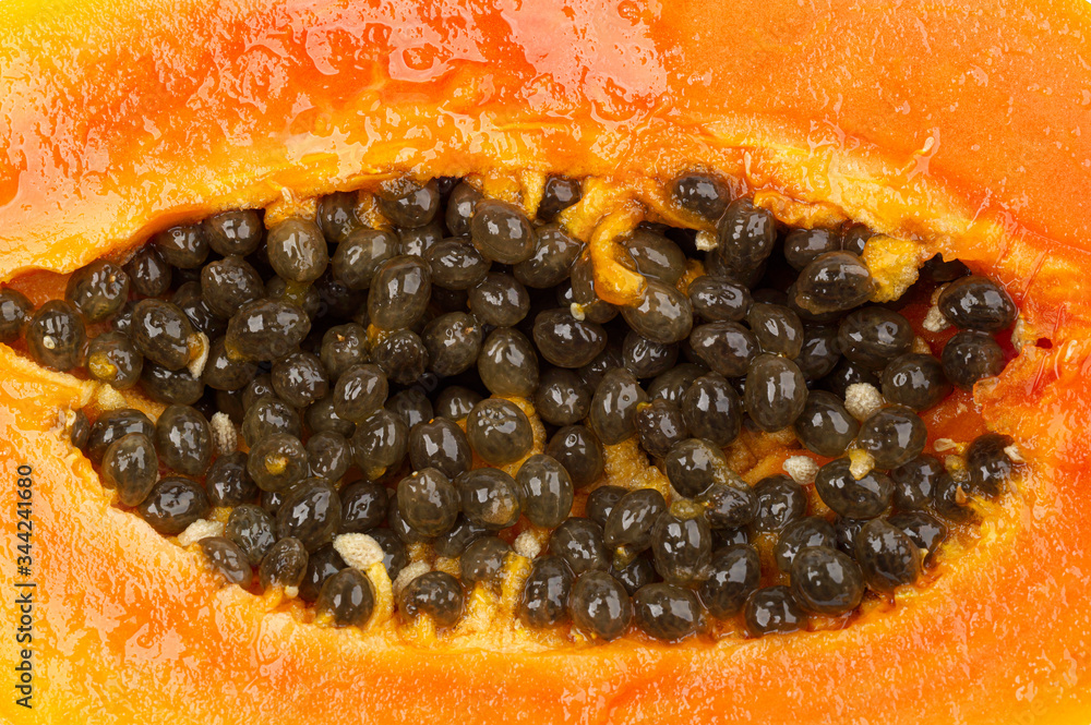 papaya papaya