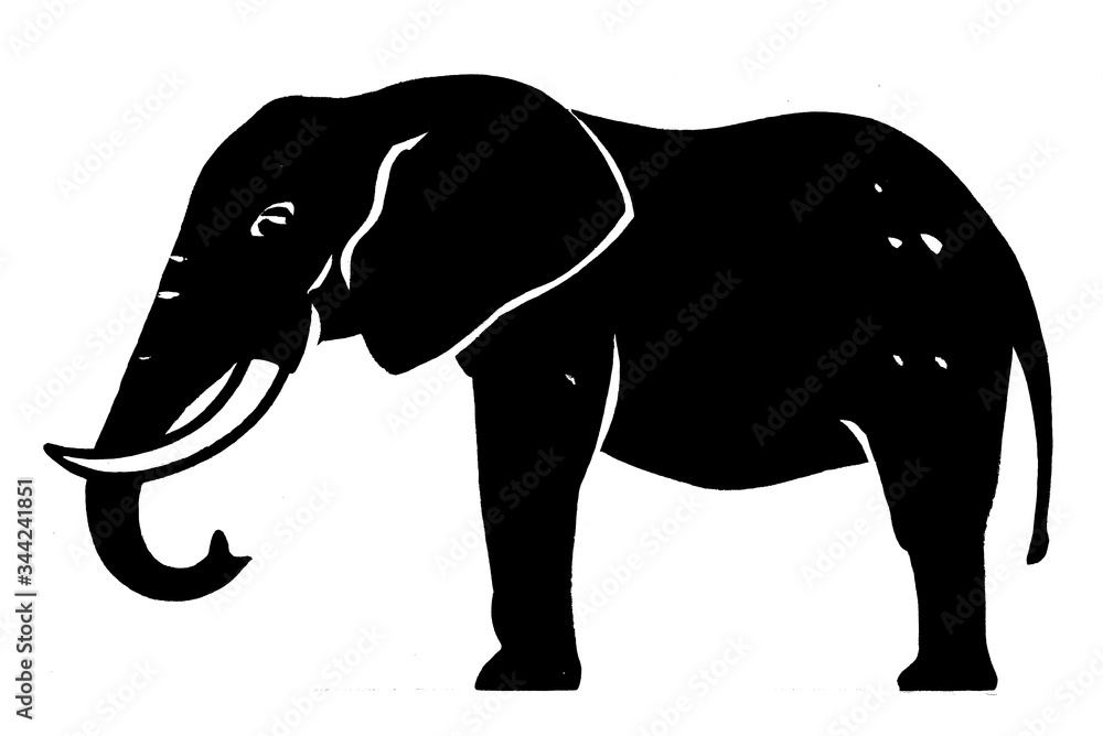 Obraz premium Illustration Elefant