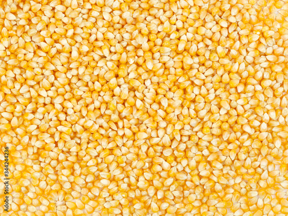 corn corn