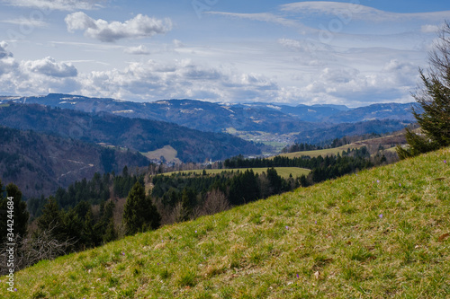 Poljanska valley hills in spring