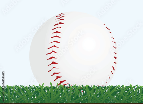 Baseball ball in grass. vector illustration