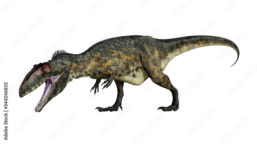 Terrifying giganotosaurus dinosaur roaring head down isolated in white background - 3D render Terrifying giganotosaurus dinosaur roaring head down isolated in white background - 3D render