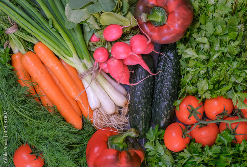 Top view on fresh vegetables and culinary herbs. Flat lay with Dill  zucchini  chives  bell pepper  tomatoes  carrot  parsley  cucumbers. Organic vegetable from farm market. Vegan healthy food.