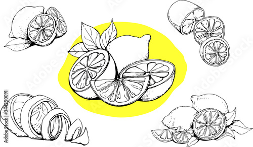Pen drawn lemon set isolated on white and yellow. Citrus fruit graphic elements, collection for design labels, packaging, cards, strengthen immune system posters. Vector illustration. 