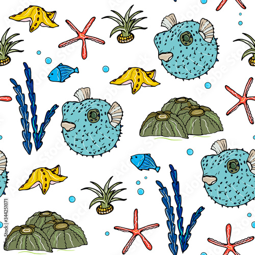 Sea animals  ocean seamless pattern. Shell aquarium background with fish, corral, shells, jellyfish, starfish and algae. Nautical marine illustration