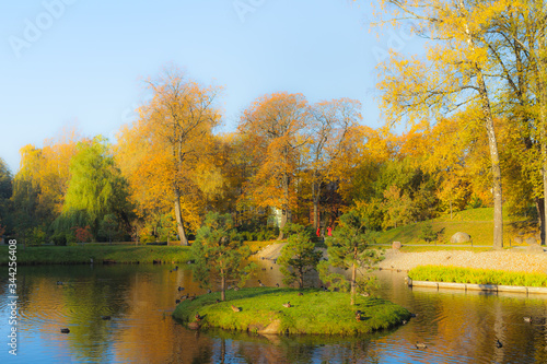 Autumn foliage with dreamy orton filter. Japanese garden in Kadriorg park. Tallinn  Estonia.