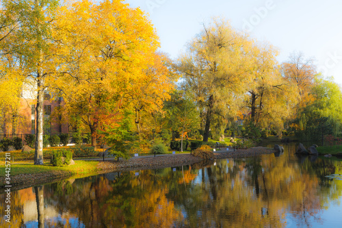Autumn foliage with dreamy orton filter. Japanese garden in Kadriorg park. Tallinn, Estonia.
