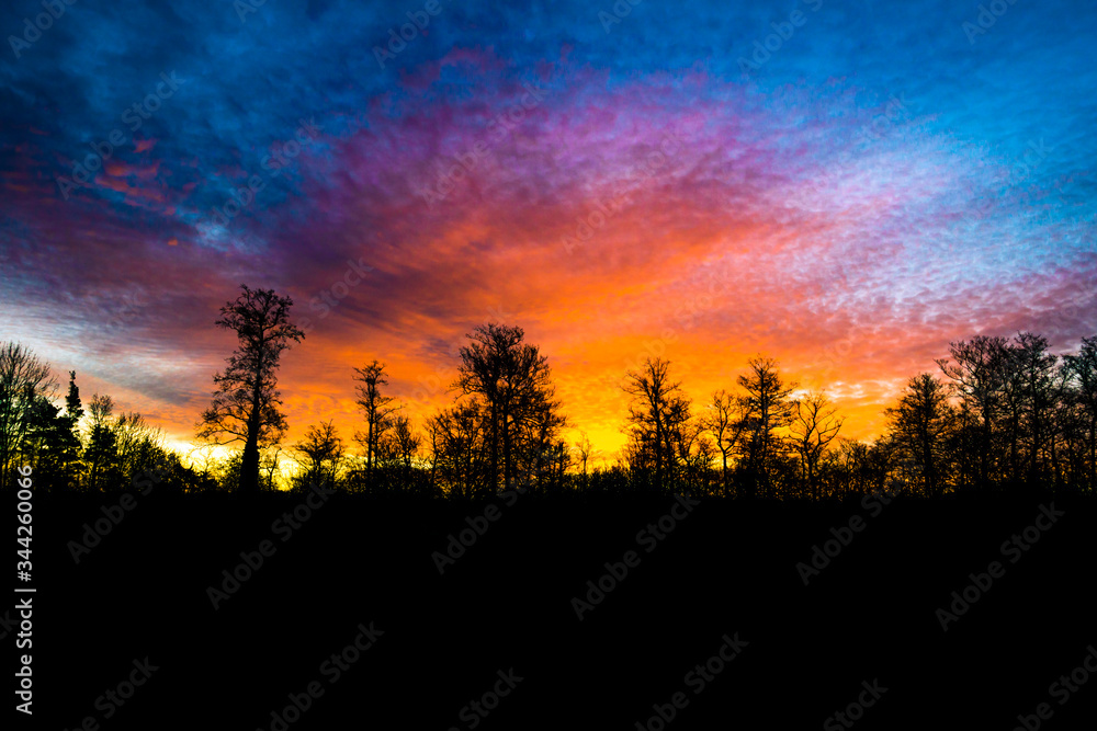 Fototapeta premium Picturesque, stunning sunrise over the forest