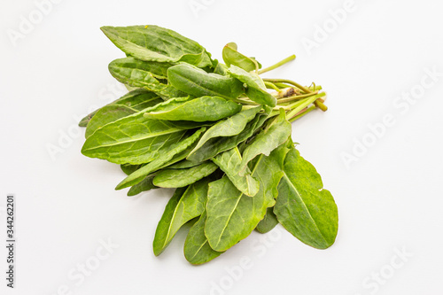 Fresh green sorrel isolated on white background