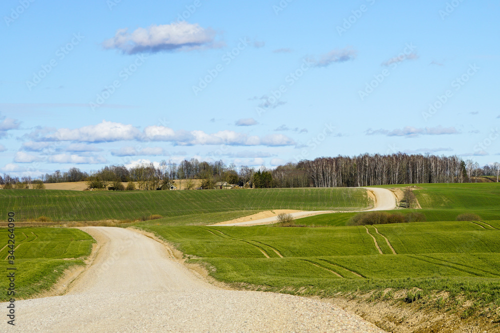 view of a winding scenic gravel road between the fields