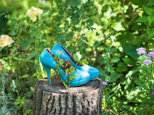 Blue recycled second hand shoes, stilettos, high heels / upcycled into eco friendly planters / flowerbeds / flower pots. Sustainable gardening idea for a yard photo