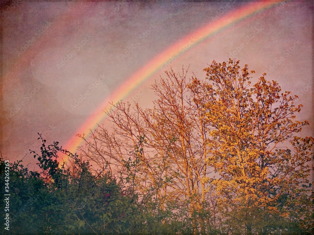 Colorful rainbow over trees viewed through a dirty window pane of glass with soft bokeh from reflecting sunlight after a rain storm during sunset golden hour.