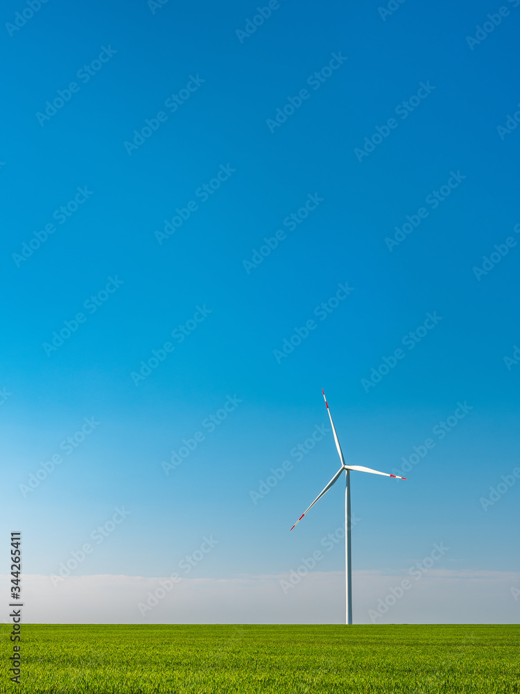 isolated wind generator in green wheat field under blue sky with copy space isolated wind generator in green wheat field under blue sky with copy space