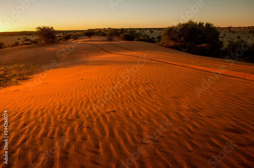 red dunes in kalahari