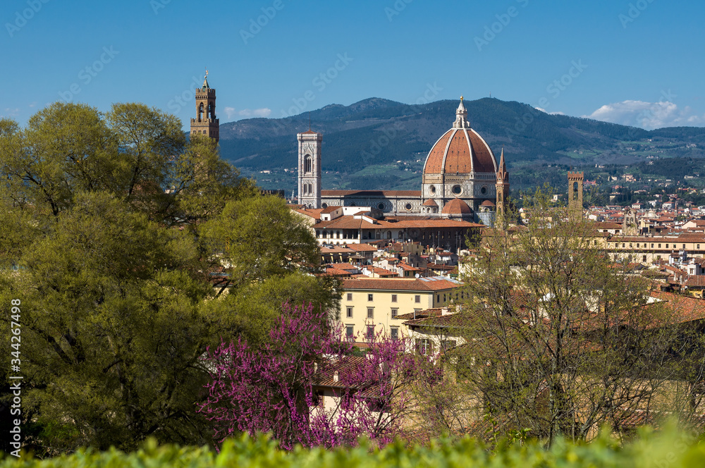 Obraz premium Spring view of the Cathedral of Saint Mary of the Flower (Cattedrale di Santa Maria del Fiore) and white pink trees in the foreground. Florence, Tuscany, Italy.