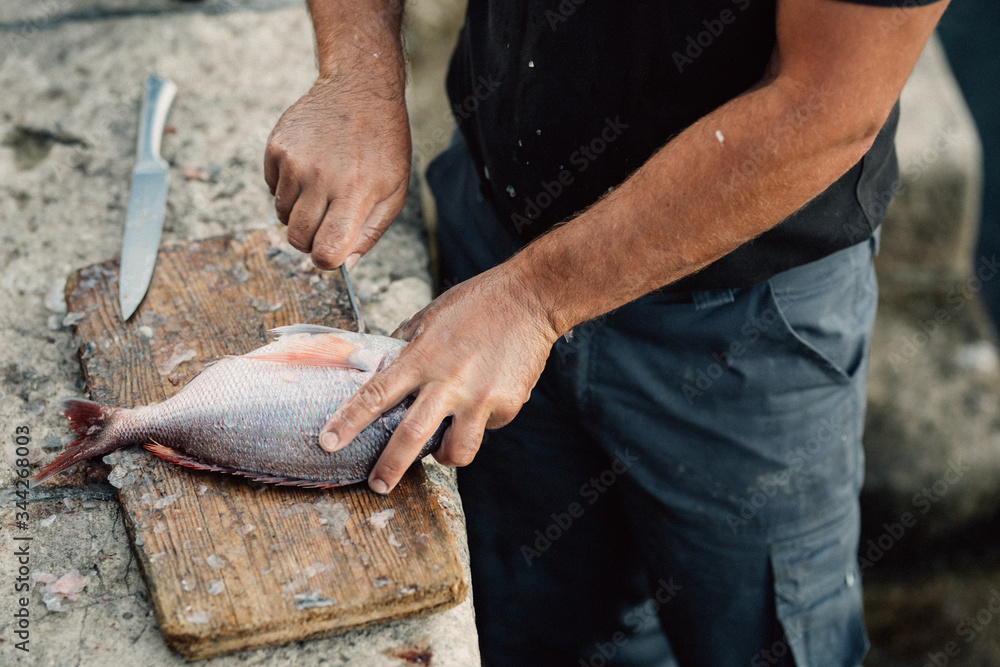 Professional island fisherman preparing / cleaning gilthead sea bream.Fishing for living.Local fish market.Fresh seafood.Expensive catch.Healthy mediterranean diet.Sustainable fishing.Farming