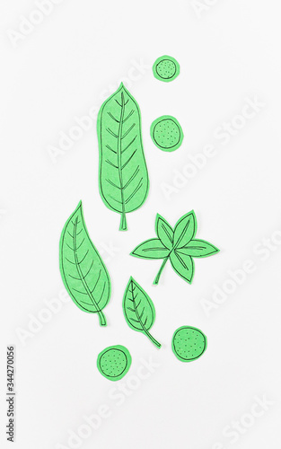 Leaf Set. Hand-drawn decorative elements, doodle floral elements. Black line ink hand drawn art. White background ready for copywriting. Perfect for invitations, greeting cards, posters, prints.