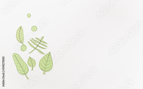 Leaf Set. Hand-drawn decorative elements, doodle floral elements. Black line ink hand drawn art. White background ready for copywriting. Perfect for invitations, greeting cards, posters, prints.