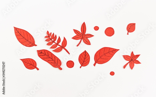 Leaf Set. Hand-drawn decorative elements, doodle floral elements. Black line ink hand drawn art. White background ready for copywriting. Perfect for invitations, greeting cards, posters, prints.