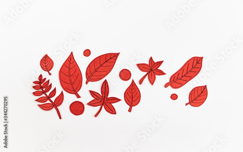 Leaf Set. Hand-drawn decorative elements, doodle floral elements. Black line ink hand drawn art. White background ready for copywriting. Perfect for invitations, greeting cards, posters, prints.