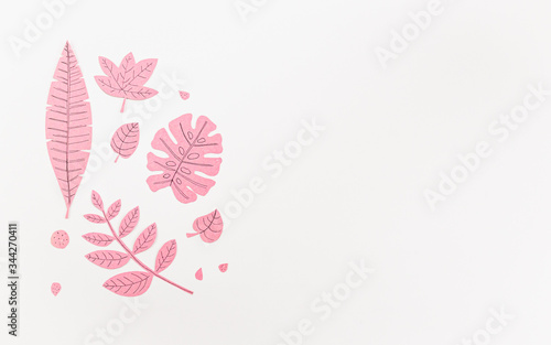 Leaf Set. Hand-drawn decorative elements, doodle floral elements. Black line ink hand drawn art. White background ready for copywriting. Perfect for invitations, greeting cards, posters, prints.