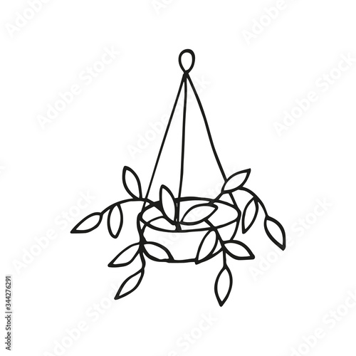 Single hand drawn house plant. In doodle style, black outline isolated on a white background. Cute element for card, social media banner, sticker, print, decoration kids playroom. Vector illustration