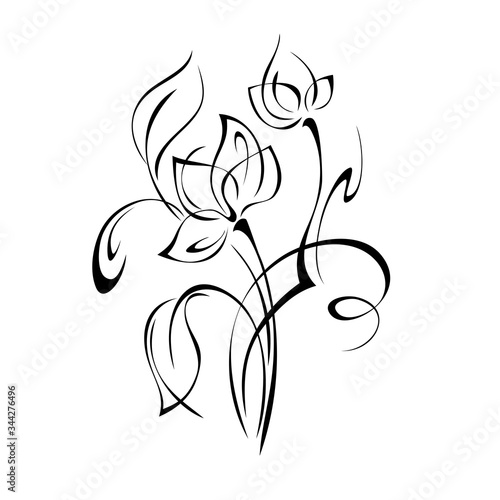 ornament 1127. two stylized half-blooming flowers on stems with leaves and curls in black lines on a white background