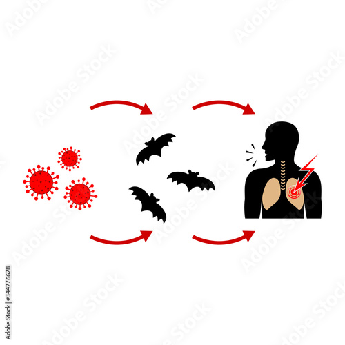 Transmission of the new coronavirus from bats to humans? Vector illustration.