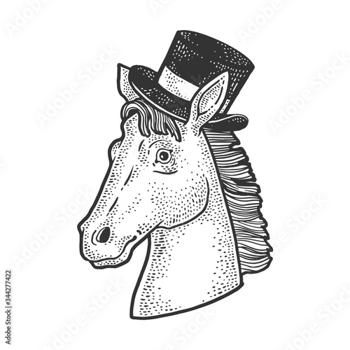 horse in the cylinder hat sketch engraving vector illustration. T-shirt apparel print design. Scratch board imitation. Black and white hand drawn image.