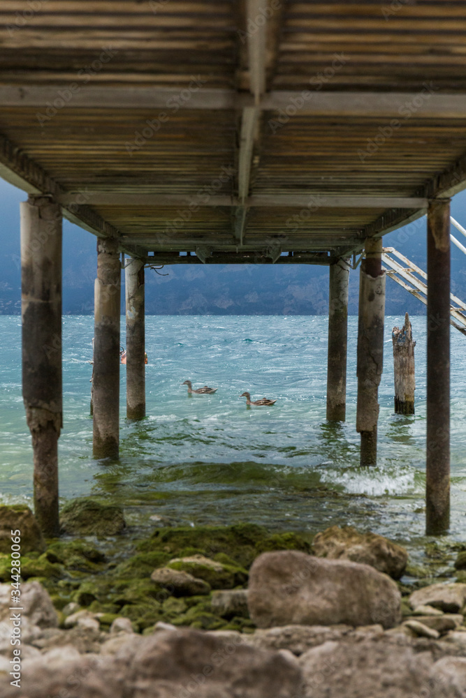 from under a wooden jetty we can see ducks bathing in a lake with crystal clear and turquoise water from under a wooden jetty we can see ducks bathing in a lake with crystal clear and turquoise water