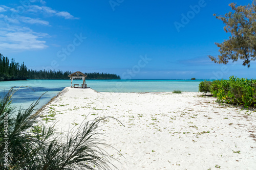 Fototapeta Naklejka Na Ścianę i Meble -  isle of Pines, a tropical beach with palm trees and white sand