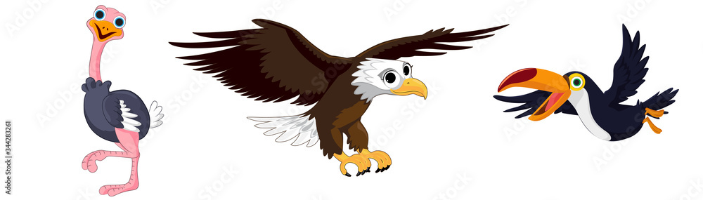Bird cartoon collection. Ostrich eagle and toucan. Vector illustration. Bird cartoon collection. Ostrich eagle and toucan. Vector illustration.