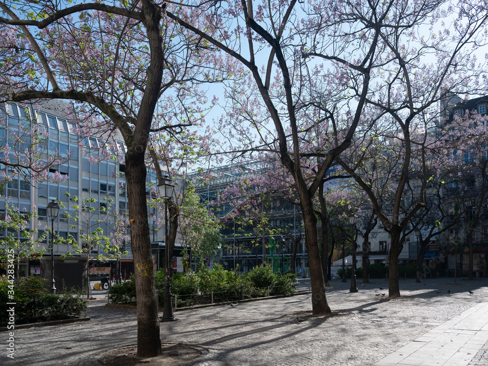 trees in the city in April Paris, France, architecture of Centre Pompidou behind trees in the city in April Paris, France, architecture of Centre Pompidou behind