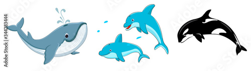 Dolphin, Whale and Killer Whale Fish cartoon set collection Vector illustration